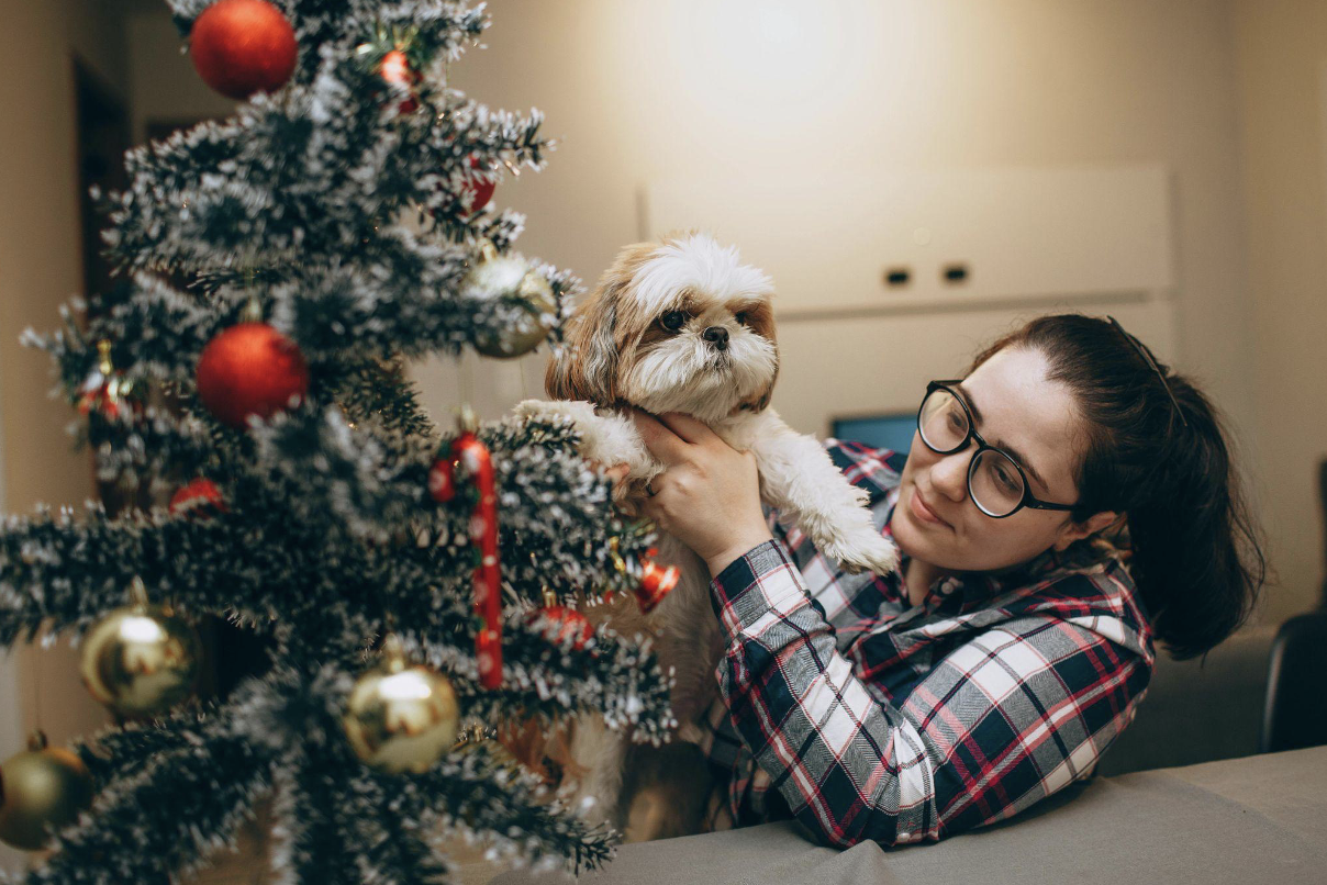 Affordable and Realistic Christmas Trees for Every Home